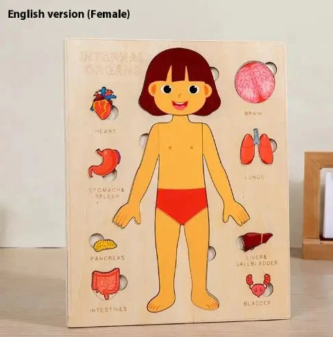 Children's Anatomy Explorer Puzzles 11:11