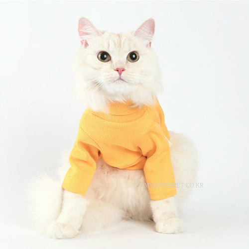 Label Turtleneck Yellow 11:11