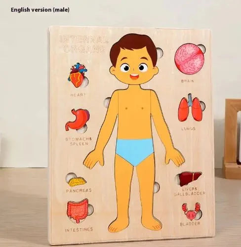 Children's Anatomy Explorer Puzzles 11:11