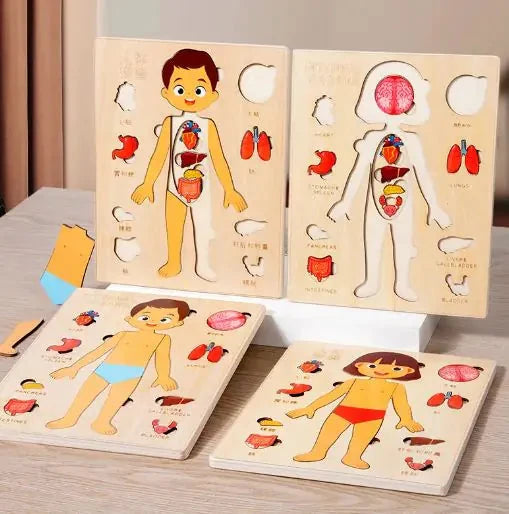 Children's Anatomy Explorer Puzzles 11:11